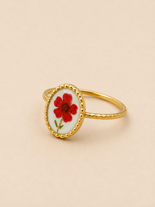 Anello Spring